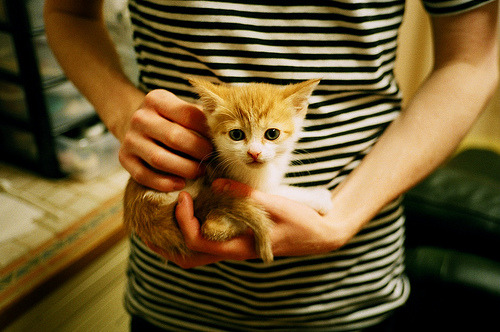 “中超俱乐部投资逐年增长，发展迅速”，中超俱乐部新名称