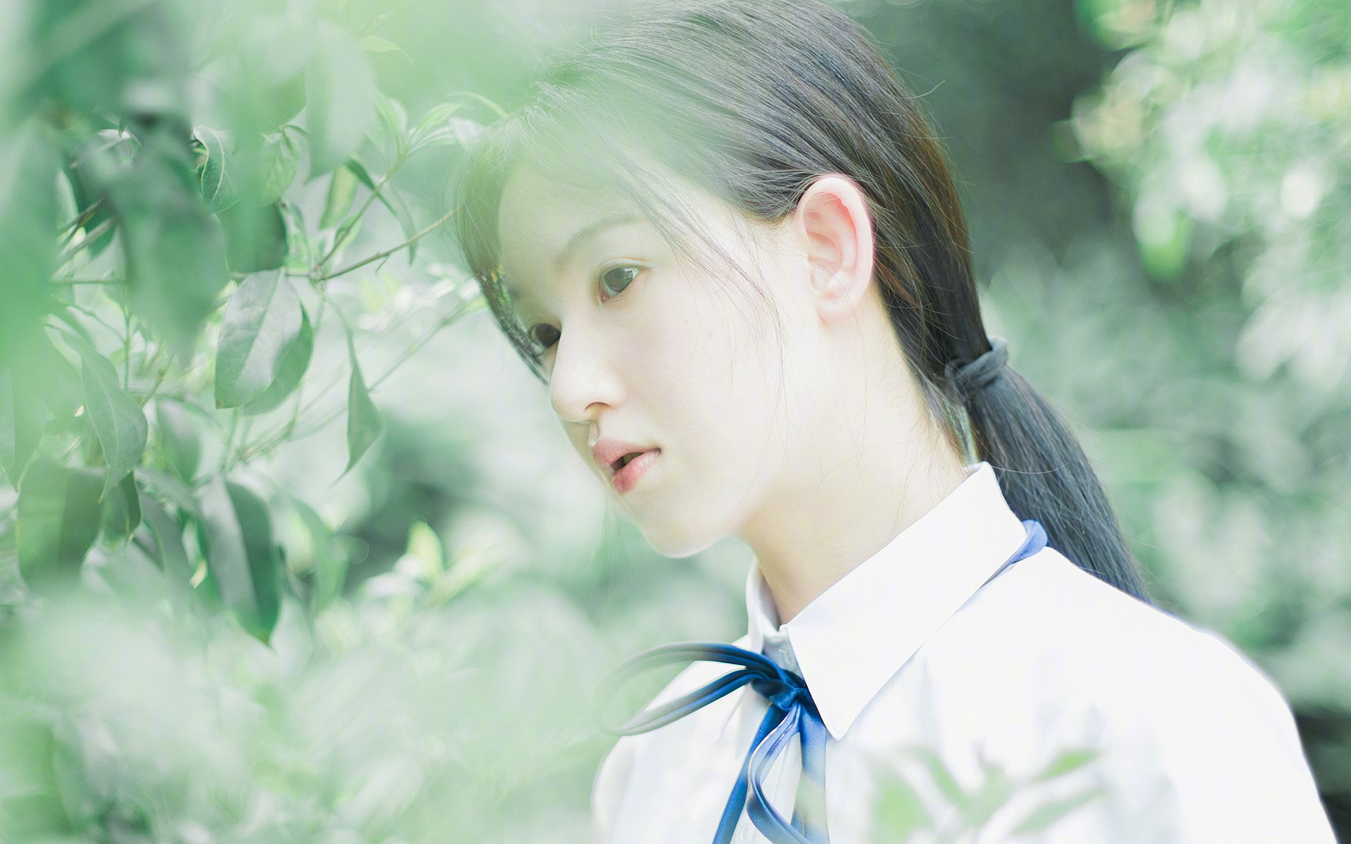 亚洲顶级球队联赛大幕拉开,激战起航,亚洲足球顶级联赛