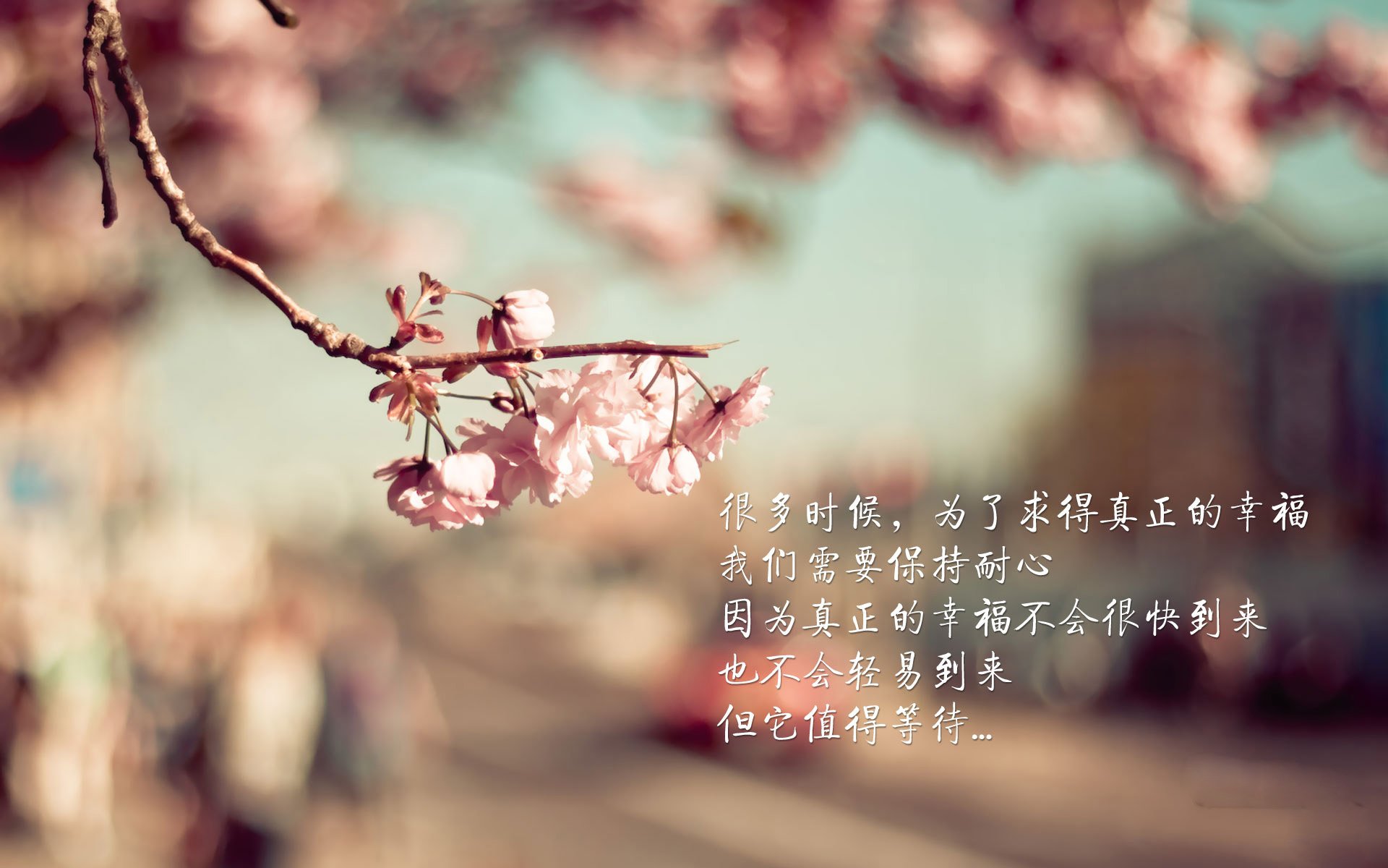 亚洲球队防守端稳固提升，亚洲队伍排名