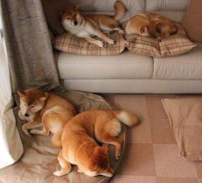 开云体育app安全下载-中国队在巴黎奥运会比赛中多次利用边路进攻，里约奥运会中国打巴西