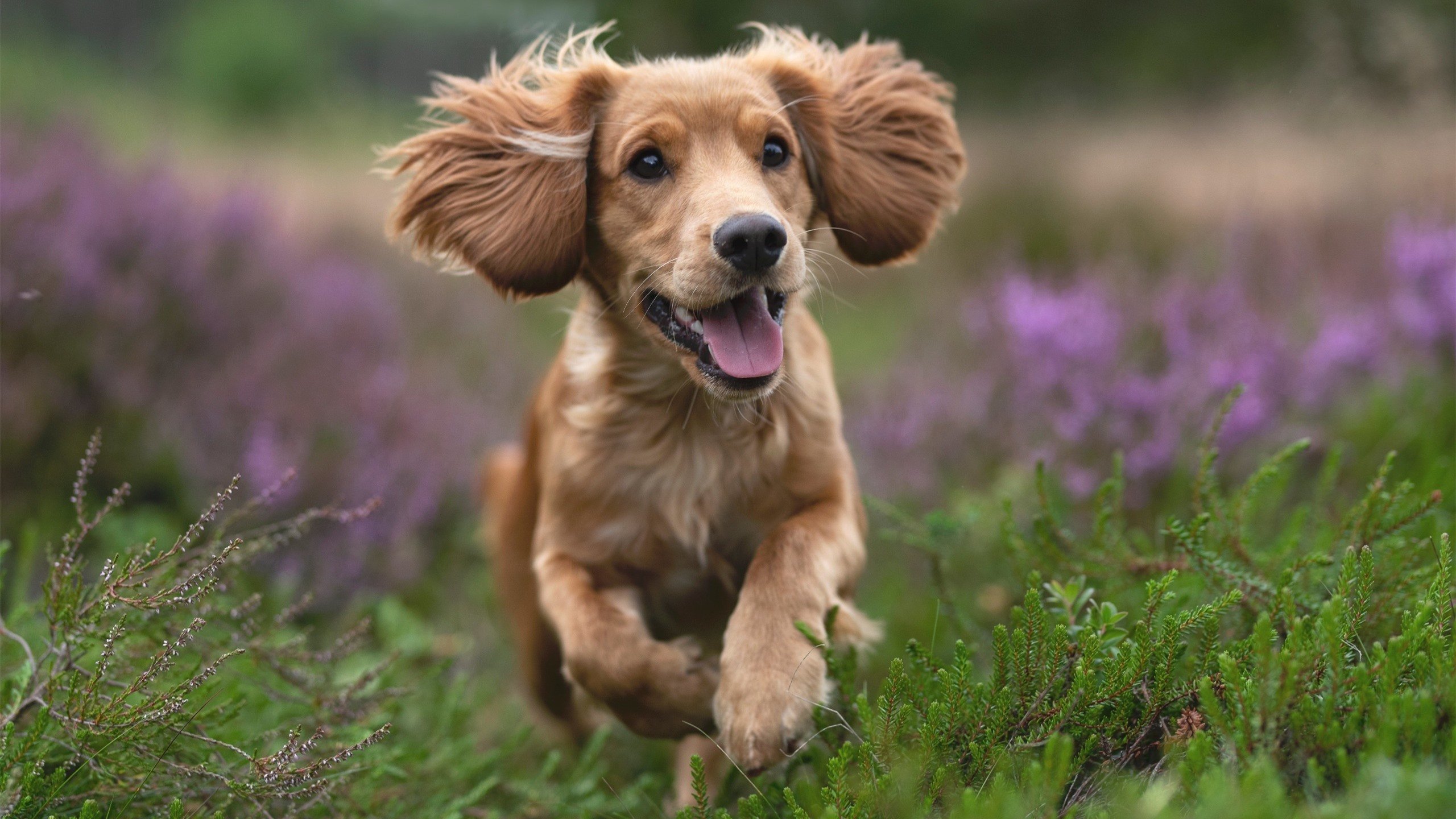 俱乐部动向！球队管理层发布幕后故事，球队管理细则