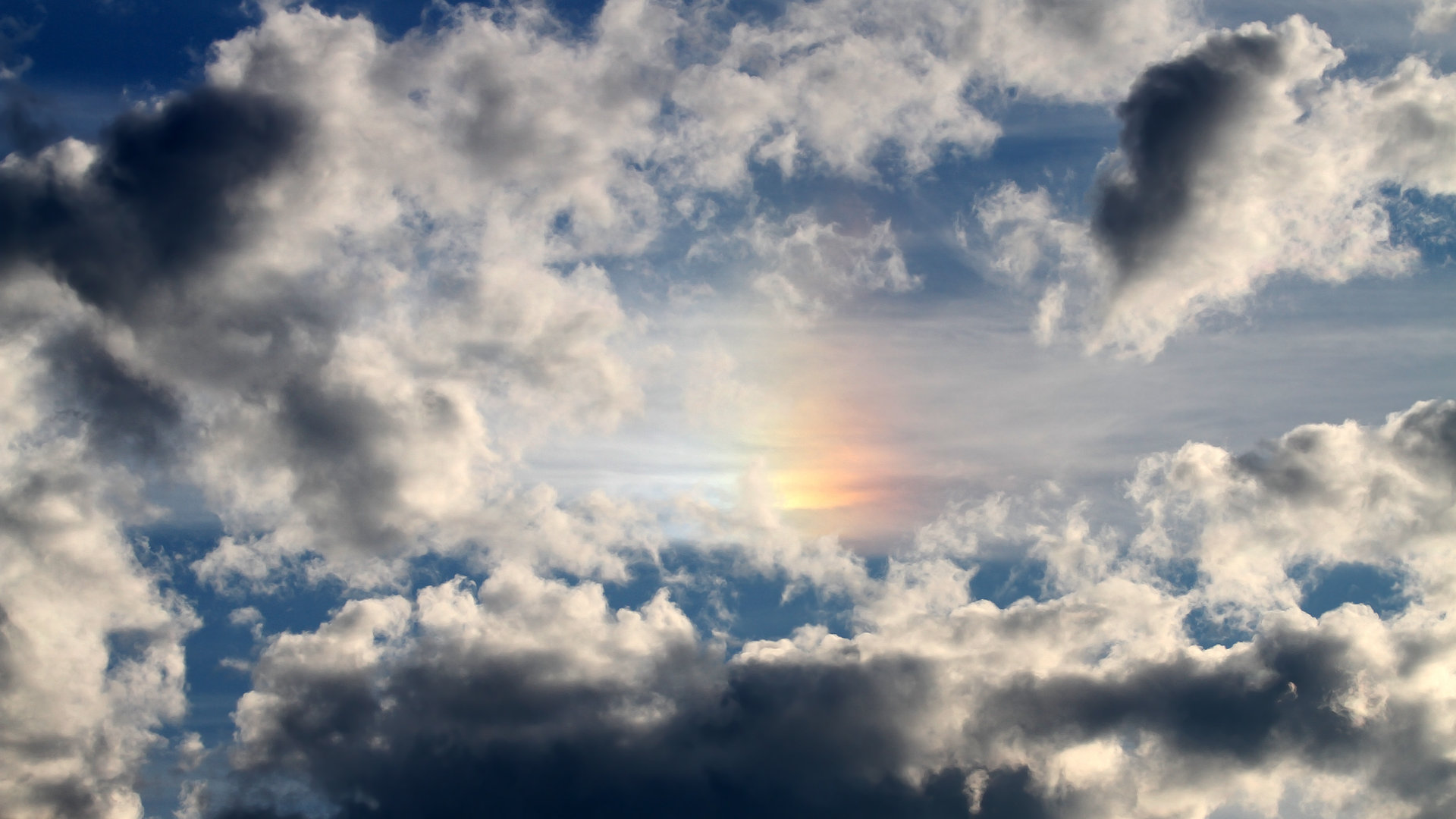 下载开云-拉美球员在比赛中亮相，技惊四座引起关注，nba拉美球员