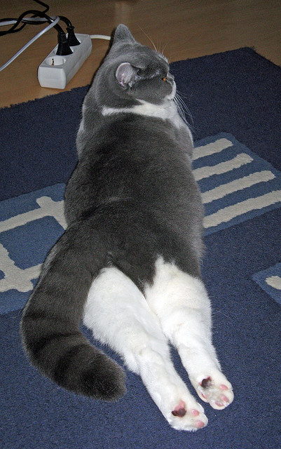 国足进攻组织中非关键球员参与度分析，国足内部总结低估对手