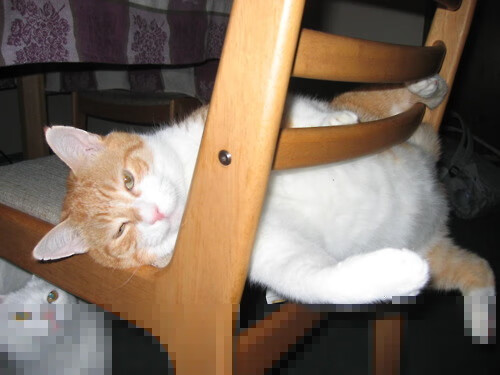 意甲冲刺阶段：那不勒斯继续领跑，追赶者紧追不舍，那不勒斯意甲历年排名