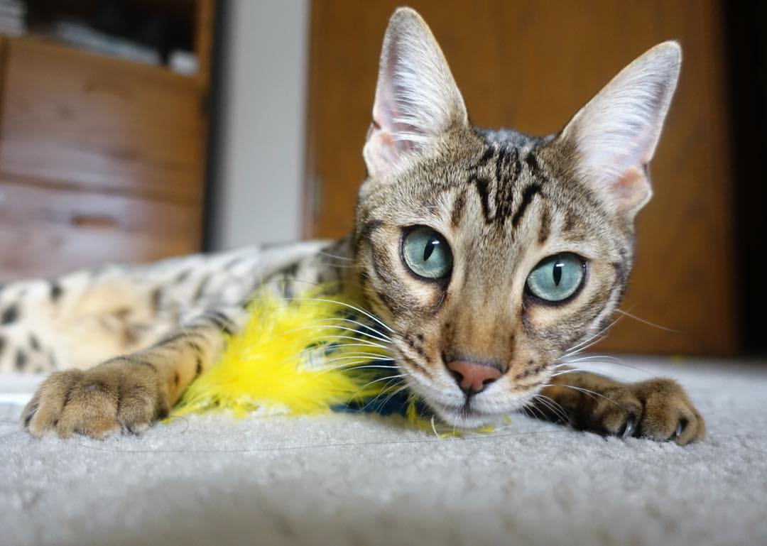 青少年体育运动习惯养成及干预对策，青少年体育运动应注意哪些健康卫生问题