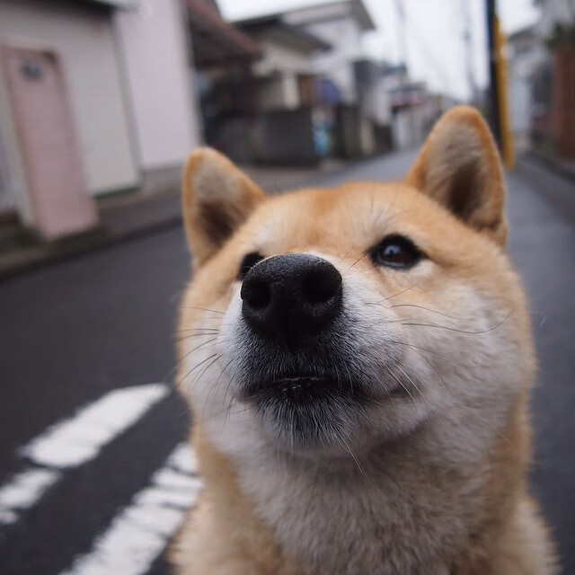高校训练数据分析，训练成绩数据分析