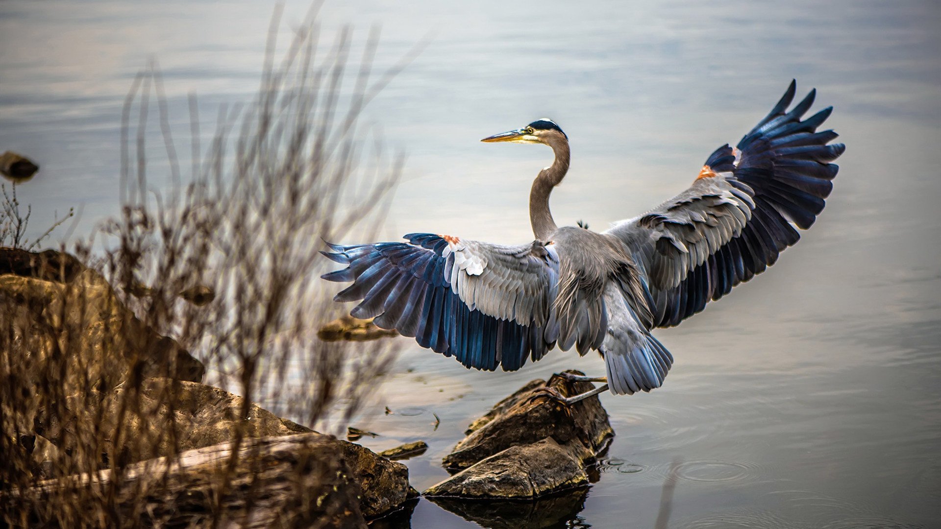 开云网页版-“拳击赛事逆转剧情：四川省体育馆重磅对决，一切皆有可能”