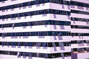 开云官网-体育新闻中心建设体育数字内容版权保护体系，体育数据新闻